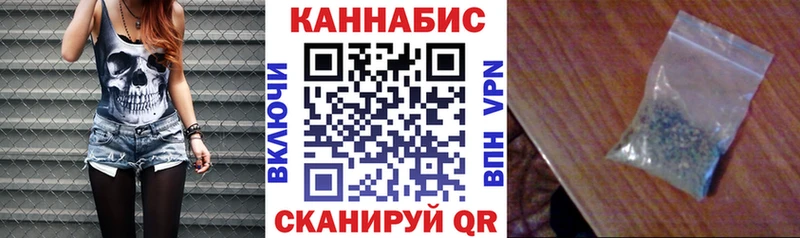 Каннабис планчик  Ленинградская 